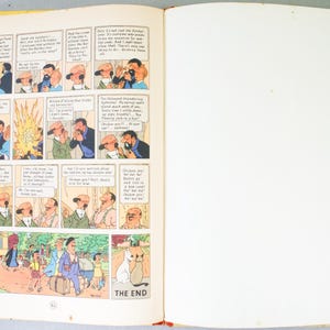May include: Open book with comic strip panels in color. The panels depict various characters in scenes with speech bubbles. The last panel shows a group of people and the words "THE END" with a cat and dog.