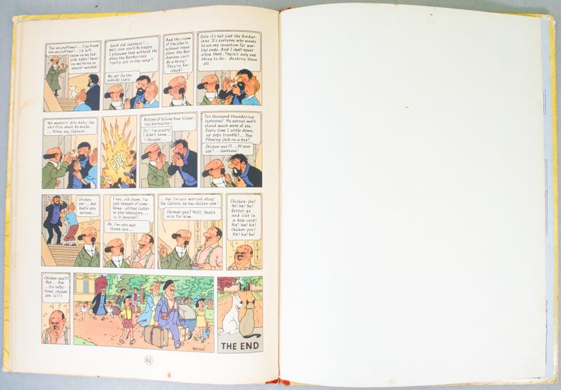 May include: Open book with comic strip panels in color. The panels depict various characters in scenes with speech bubbles. The last panel shows a group of people and the words "THE END" with a cat and dog.