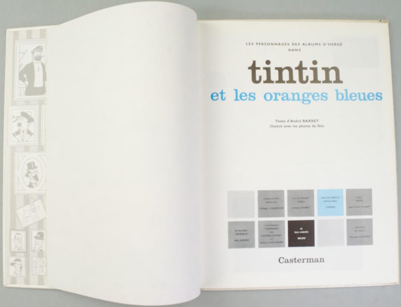 Puede incluir: Un libro abierto con el t&iacute;tulo "tintin et les oranges bleues" en texto marr&oacute;n y azul. La portada del libro incluye una cuadr&iacute;cula de peque&ntilde;os cuadrados grises y azules y el nombre de la editorial, Casterman.