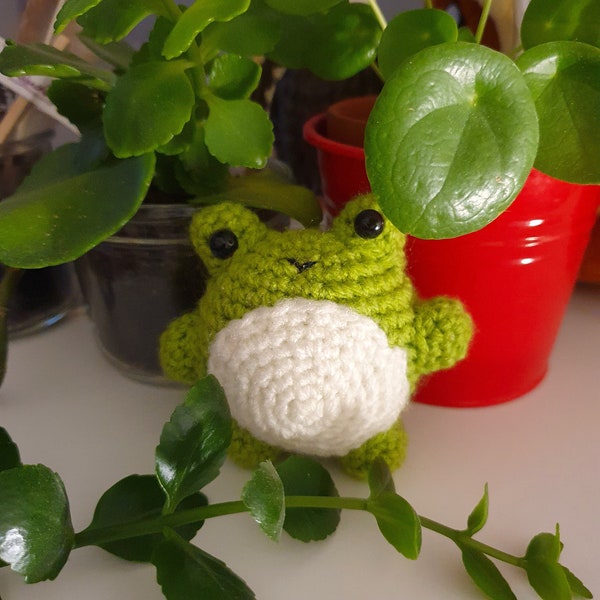 Grenouille chonky | amigurumi fait main | peluche anti-stress et décorative