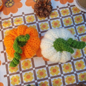 Citrouille 居心地の良いかぎ針編み |あみぐるみフェイトメイン |抗ストレスと装飾的な装飾