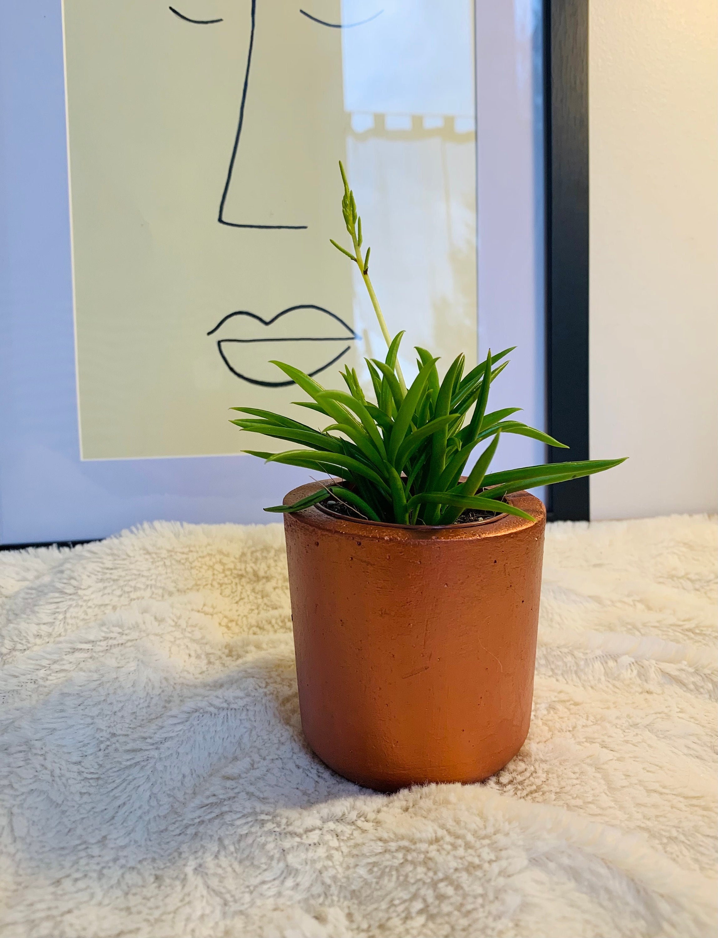 Petit Pot en Béton, Cuivré et Imperméable.