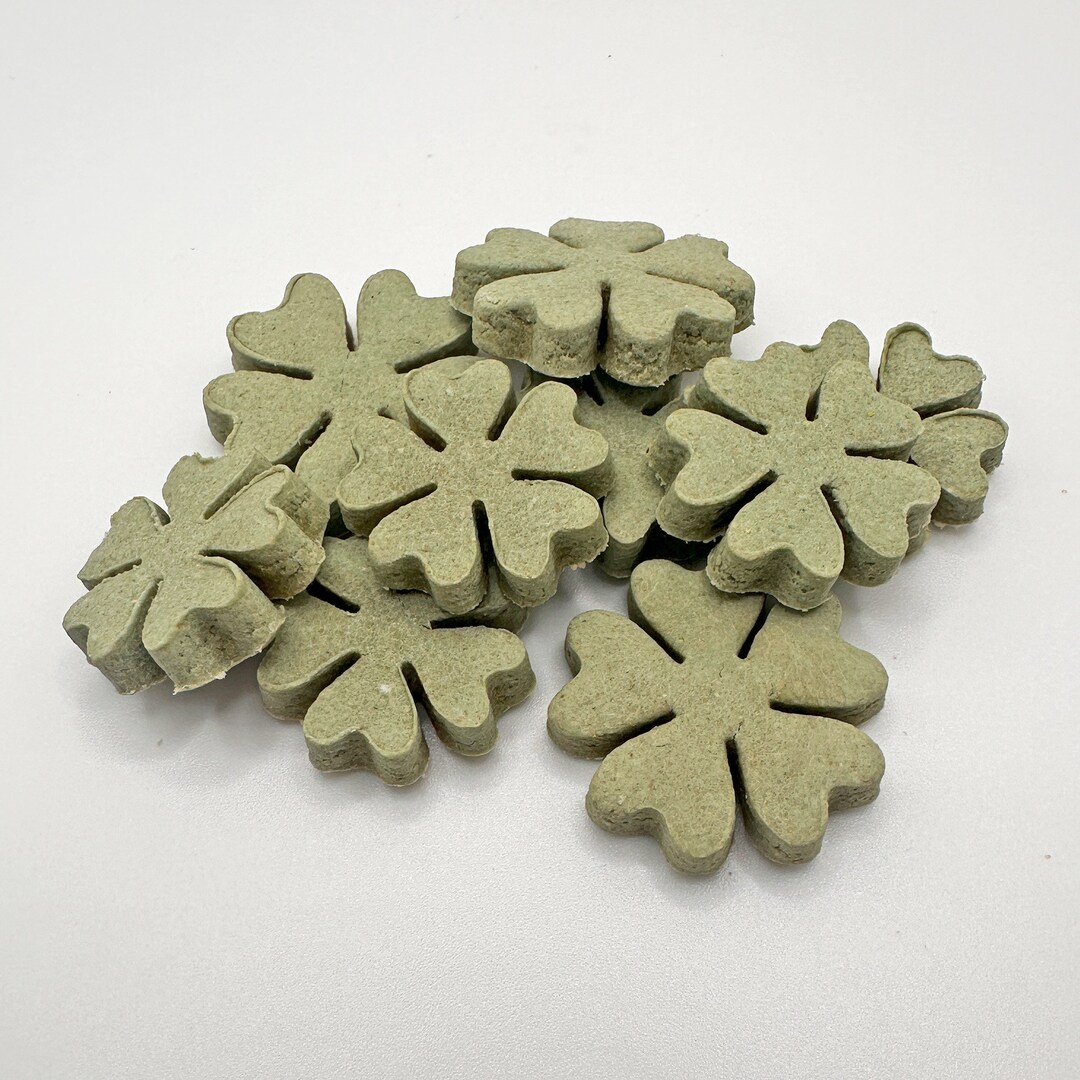 20 Green Clover Bunny Treats Organic and Natural Rabbit Treat Spirulina Pet Treat Treats for