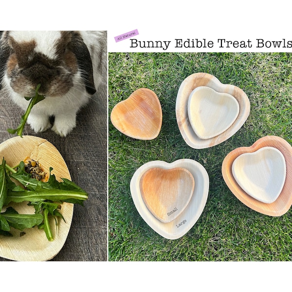 Heart Palm Leaf Bowls Heart Bowls for Bunny 100% Natural, Safe Non-Toxic Chew Toy for Rabbit, Guinea Pig and Small Pets Bunny Food and Toy
