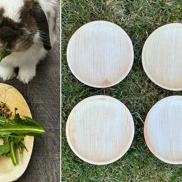 Natural Round Palm Leaf Bowls | Chewable Bowl for Rabbit | Natural Palm Leaf Plate | Treat Plate for Bunny | Forage Bowl | Palm Circle Bowls
