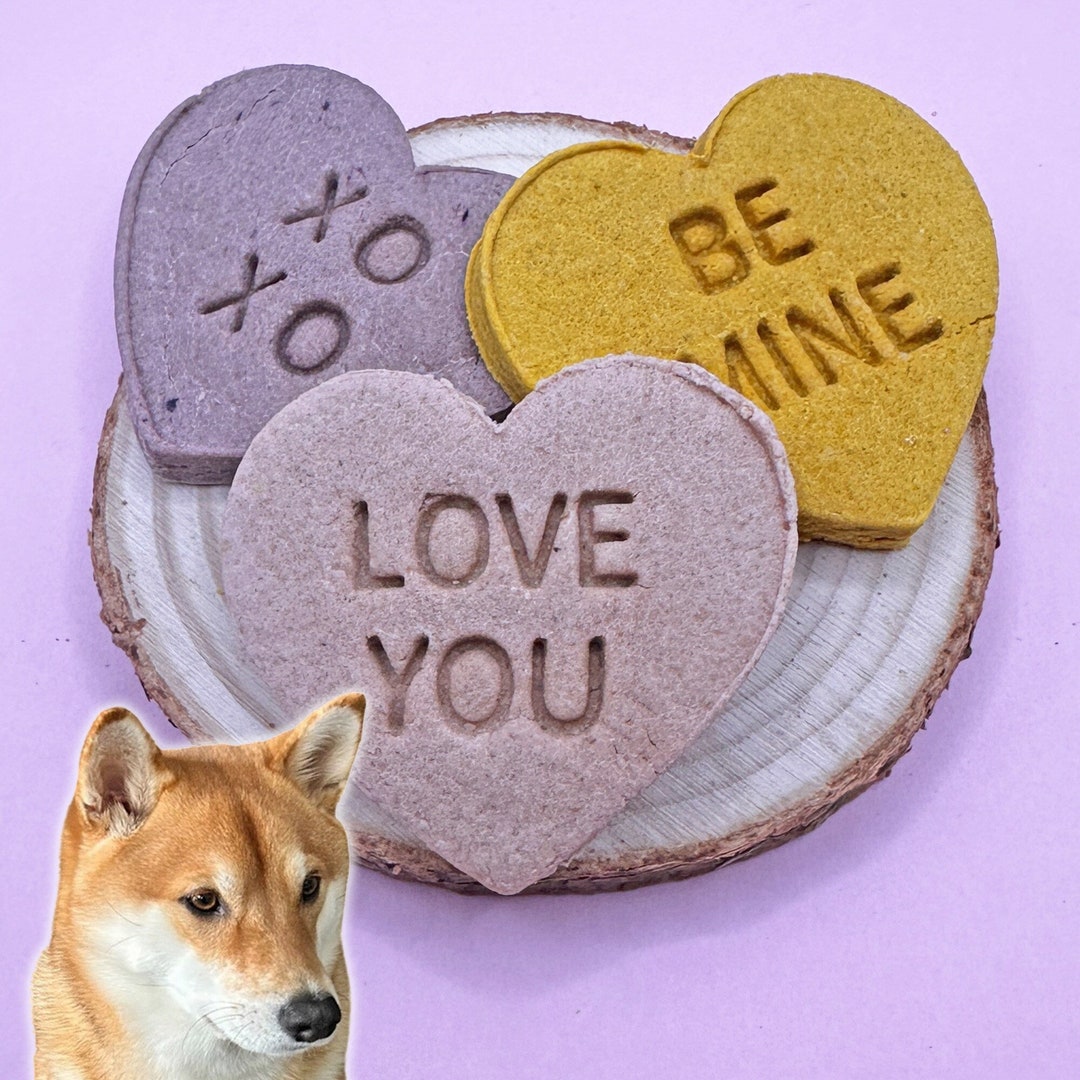 12 Conversation Heart Organic Dog Treats Valentine Dog Treats Fruits