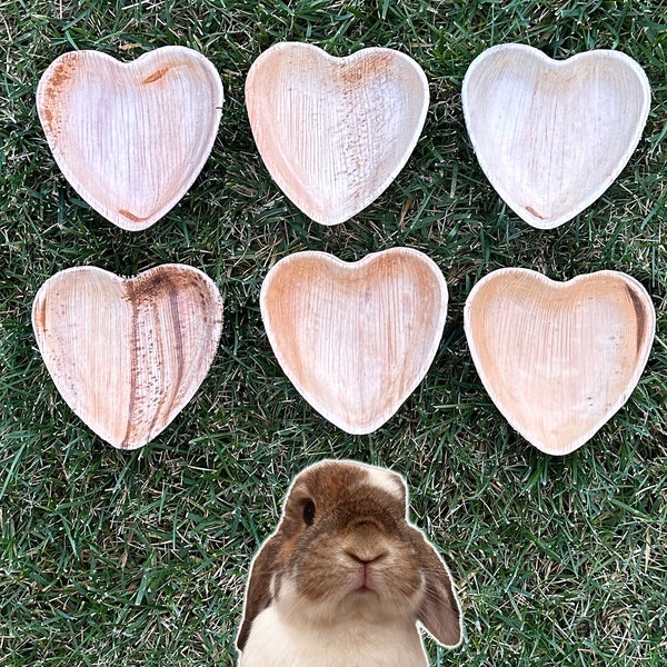 6 Heart Palm Leaf Bowls 4.5 inch Heart Bowls 100% Natural, Safe Non-Toxic Chew Toy for Rabbit, Guinea Pig and Small Pets Edible Bunny Toy
