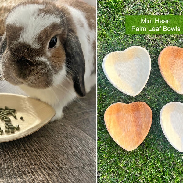 Mini Heart Palm Leaf Bowls 4" Heart Bowl Chewable Bowl for Rabbit Natural Palm Leaf Plates Forage Bowl Palm Heart Bowls