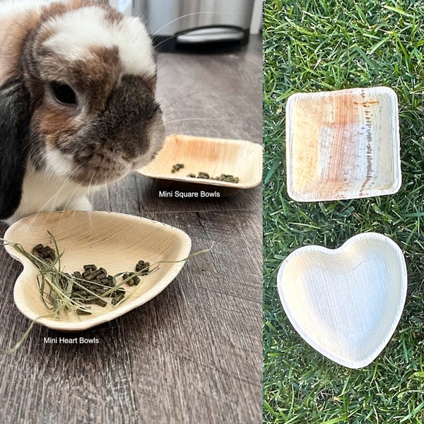 Natural Bunny Treat Bowl Mini Heart Palm Leaf Bowl Mini Square Palm Leaf Bowl Rabbit Toy Bowl Bunny Chew Toy Rabbit Toy Edible Bowl for Pet