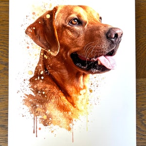 Fox Red Labrador Print - Watercolour Splash - Labrador, Puppy, Dog, Art, Print, Fox Red, Cute, Nature, Gift, Outdoors