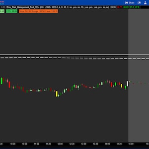Thinkorswim Risk Management Tool 2024 - Etsy