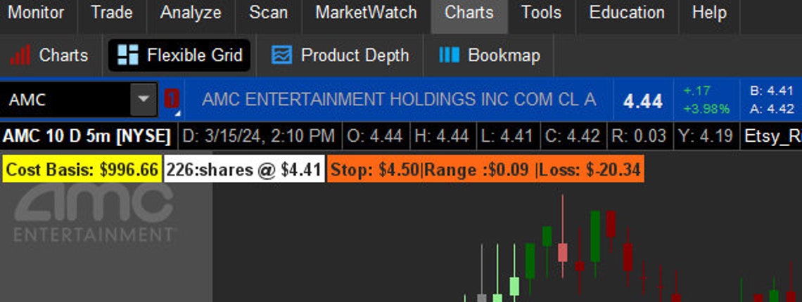Thinkorswim Risk Management Tool 2024 - Etsy