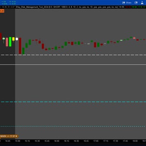 Thinkorswim Risk Management Tool 2024 - Etsy