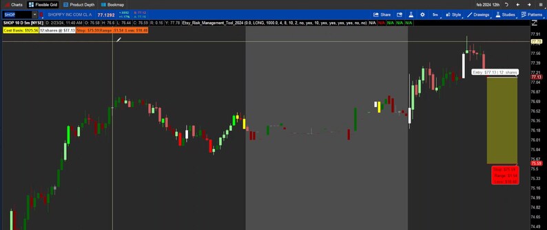 Thinkorswim Risk Management Tool 2024 - Etsy