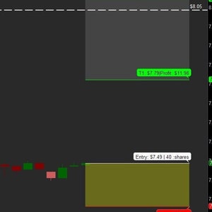 Thinkorswim Risk Management Tool 2024 - Etsy