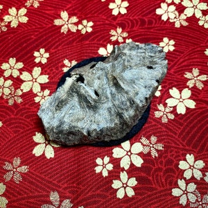 Wild Agarwood Piece | China Hainan | 3.9 Grams