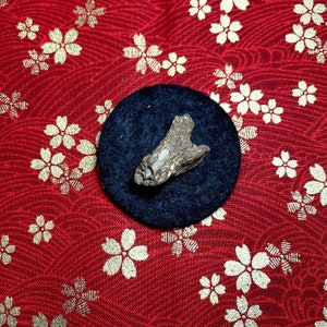 Wild Fusen Red Soil Agarwood Piece | Vietnam Fusen | 1.3 Grams