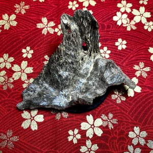 Wild Agarwood Piece | China Hainan | 4.2 Grams