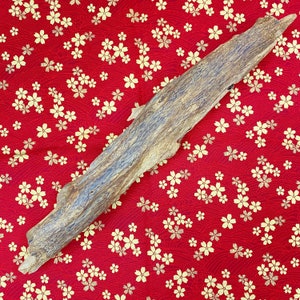 Green Kyara Piece | 147 Grams | 100% Naturally Cultivated | Kynam Kinam Agarwood | Hainan, China