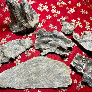 Wild Hainan Agarwood Chips | China Hainan | 50 Grams Pack