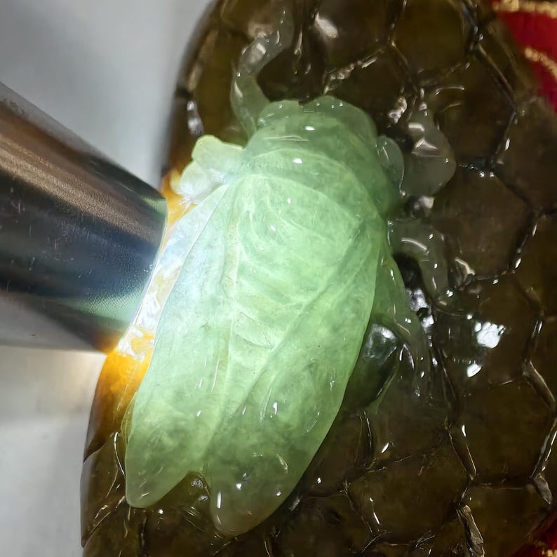 May include: A light green jade cicada carving. The insect is detailed with wings and body segments. The carving is set on a dark brown, textured surface. A silver object is partially visible in the upper left corner.