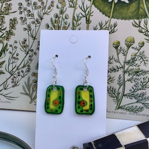 May include: A pair of silver dangle earrings with green and yellow plant cell illustrations. The earrings are on a white card with a small circle in the upper right corner.