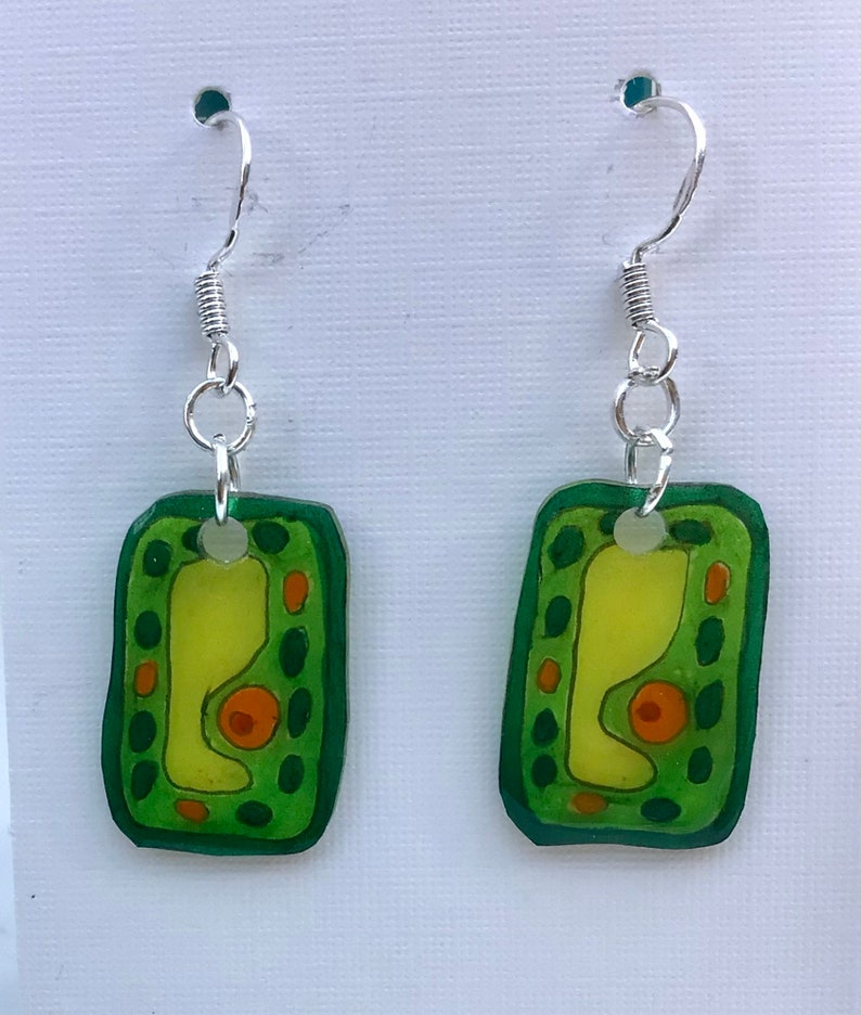 May include: A pair of silver dangle earrings with green and yellow rectangular charms depicting a plant cell. The charms have a detailed illustration of a plant cell with a large central vacuole, chloroplasts, and a cell wall.