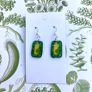 May include: A pair of green and yellow dangle earrings with a cell-like design. The earrings are on a white card with a small circle in the top right corner.