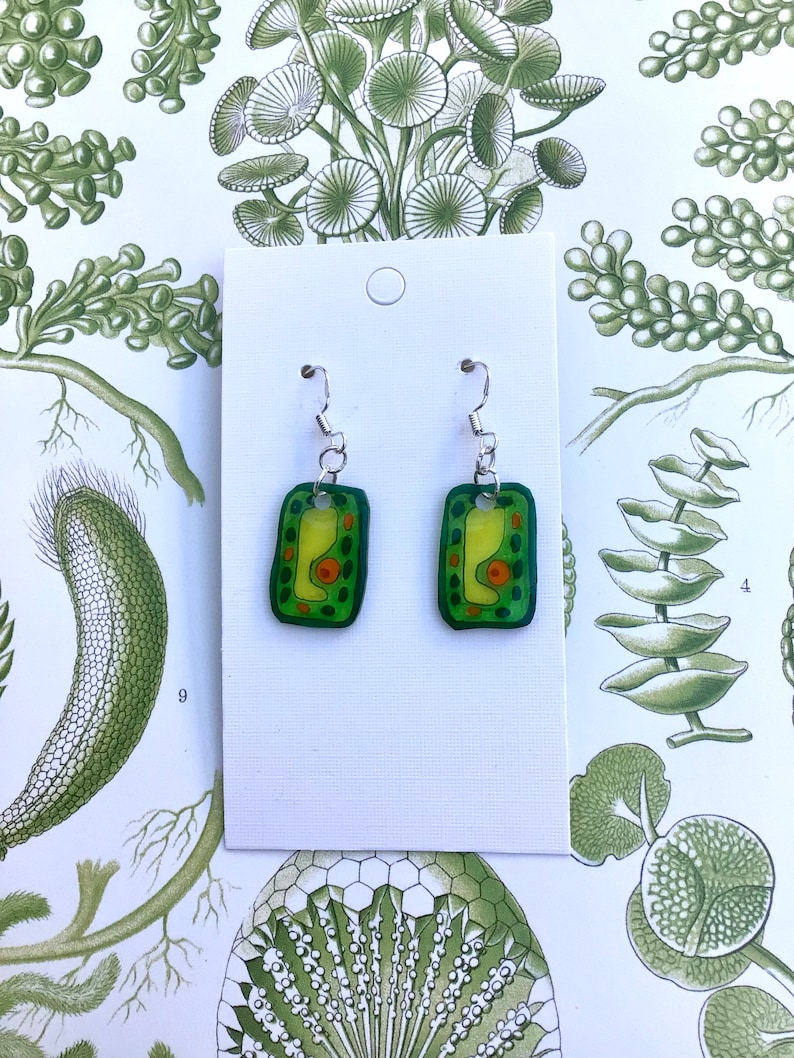 May include: A pair of green and yellow dangle earrings with a cell-like design. The earrings are on a white card with a small circle in the top right corner.