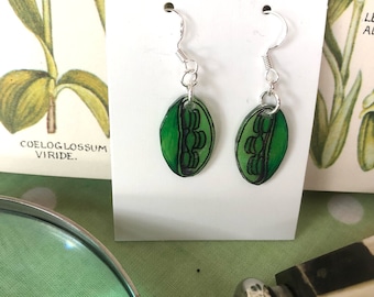 Handmade Plant Biology Chloroplast Earrings | Sterling Silver Plated Wires, Science Teacher Jewellery Gift