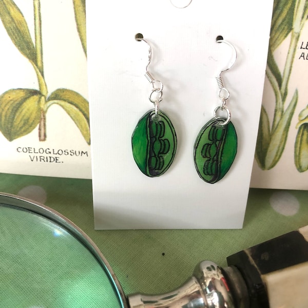 Unique Plant Biology Chloroplast Earrings | Silver-Plated Wires | Teacher Gift | Science Jewellery | Small Gift for Her | Science Gift