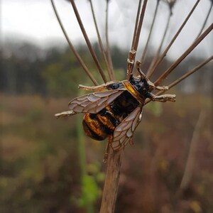 Bienenbrosche-fliegender Insektenschmuck Biene-goldene Brosche-Originalbrosche-Bienenschmuck-Brosche für Frauen-Schmuck für Frauen-Insektenbrosche Bild 4