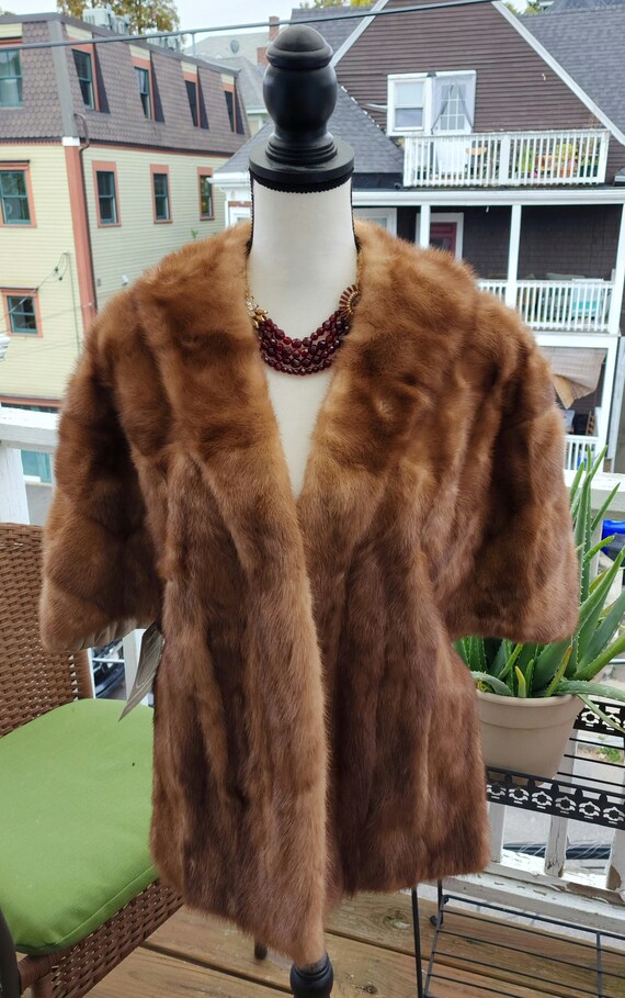 Ij Fox Boston Fox Gem