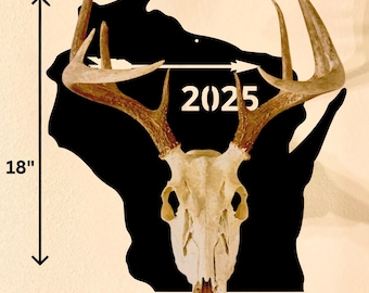 Custom Handmade Deer Skull Plaque: Trophy Mount Display - Etsy