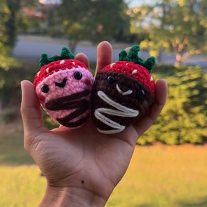 Strawberry/Chocolate covered Strawberries