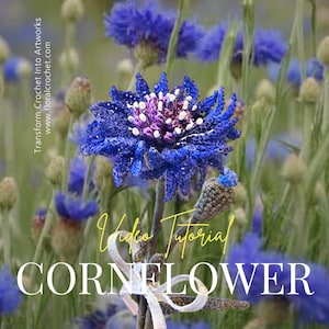 Könnte beinhalten: Nahaufnahme einer gehäkelten Kornblume mit blauen Blütenblättern und einem lila-weißen Zentrum. Das Bild enthält den Text "Schwierigkeitsgrad 7", "Video-Tutorial" und "Kornblume". Ein QR-Code ist ebenfalls sichtbar.