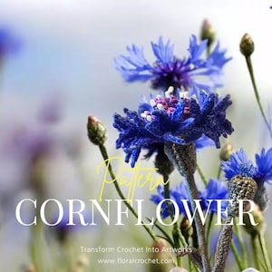 May include: A vibrant image of blue cornflowers, with the word "Pattern" in yellow script. The word "CORNFLOWER" is in large white letters. The text "Difficulty Level 7" is in the upper left corner. The website www.floralcrochet.com is at the bottom.