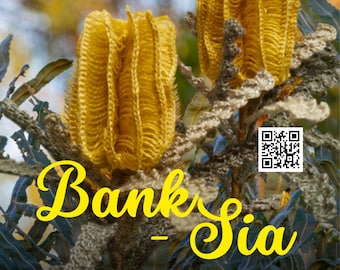 Crochet Video - BANKSIA mini bouquet step by step tutorial - Level 7
