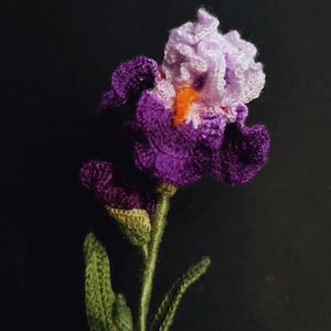 May include: A crocheted purple and white iris flower with green leaves and stem.
