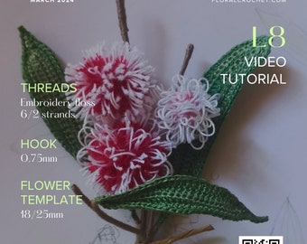 Crochet Video - HAKEA step by step tutorial - Level 8