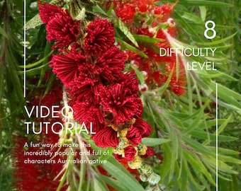 Crochet Video - BOTTLEBRUSH flower bouquet step by step tutorial - Level 8