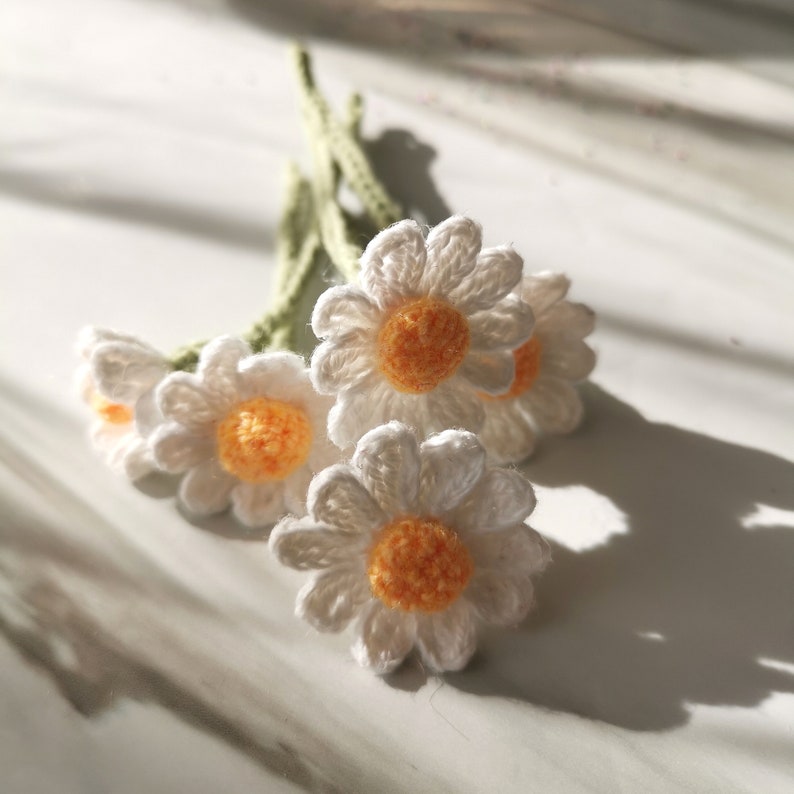 Crochet Pattern DAISY Mini Bouquet Level 3 image 6