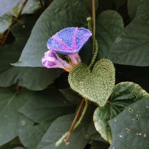 Crochet Pattern - MORNING GLORY Knitted Mini Bouquet - Level 10