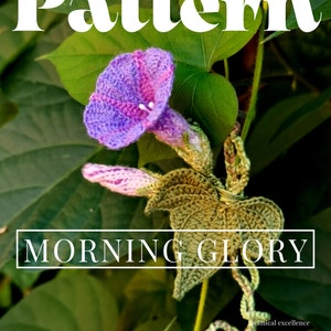 May include: Crochet pattern for a morning glory flower. The pattern is labeled "Morning Glory" and "Level 10". The pattern is available on the website www.floralcrochet.com.