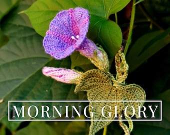 Crochet Pattern - MORNING GLORY Mini Bouquet - Level 10