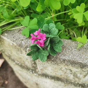 Video - OXALIS mini Strauß Schritt für Schritt Anleitung - Level 6