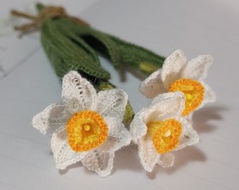 Patrón de Ganchillo - Mini Ramo NARCISO - Nivel 4