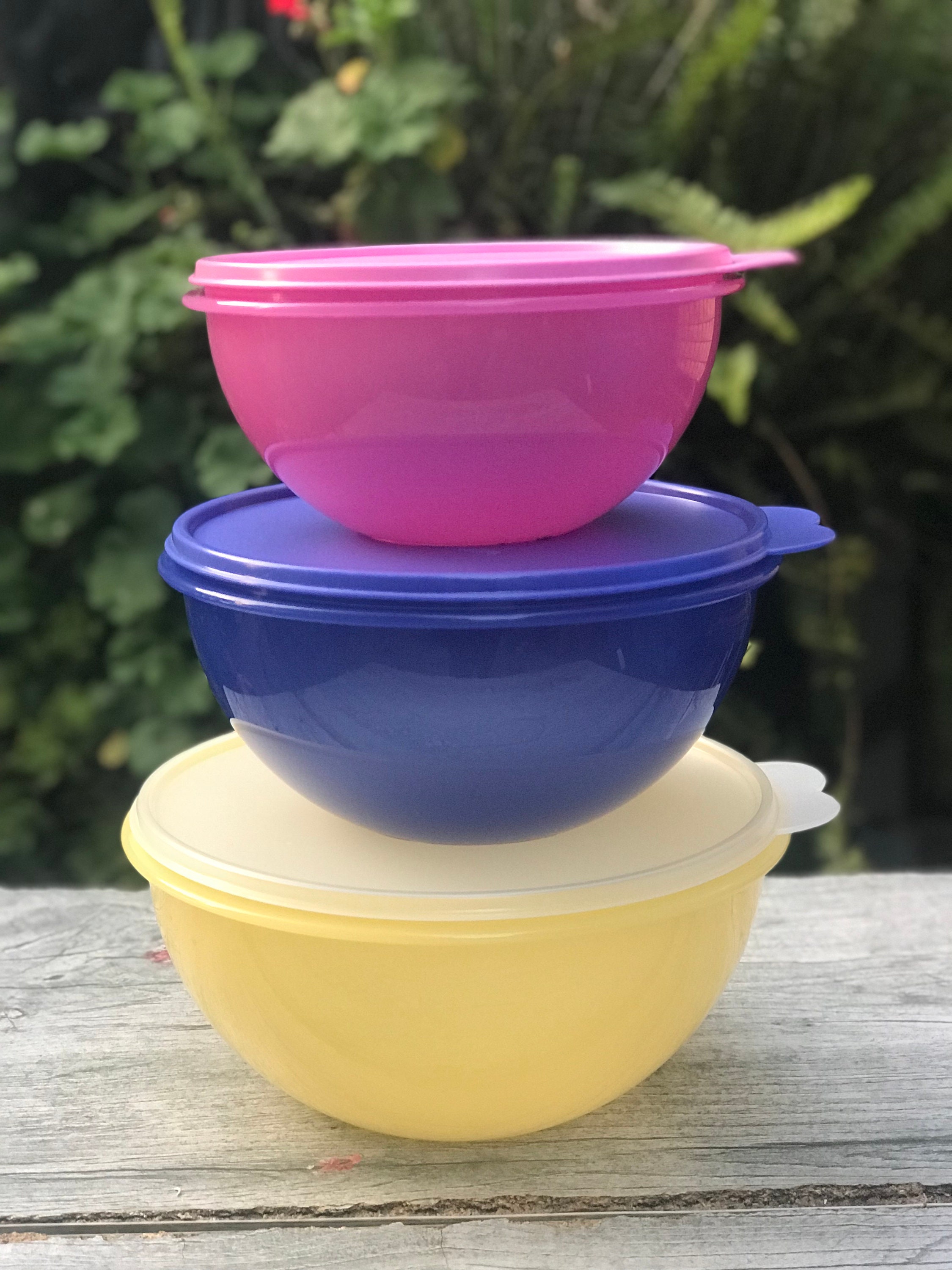 Tupperware Plastic Wonderlier Bowl Set 3