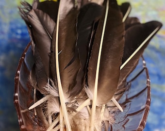 Ethically Sourced Black Vulture Feathers
