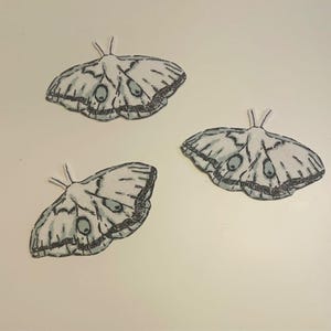May include: Three moth illustrations in a hand-drawn style. The moths are mainly white with grey and black details, including wing patterns and body markings. Each moth has a pair of antennae.
